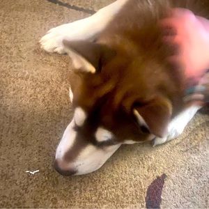 Meet your Posher, Marrissa